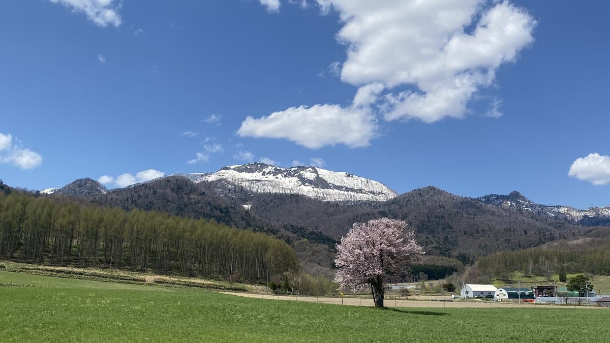 川面から見た富良野の景色