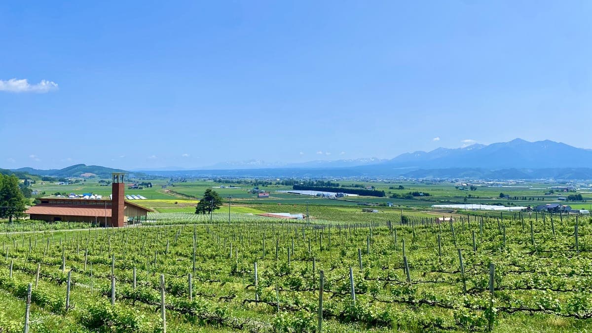 富良野の田園風景